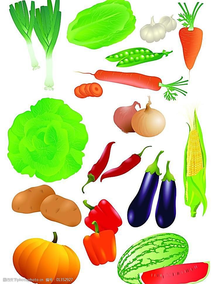 各种卡通蔬菜图片素材