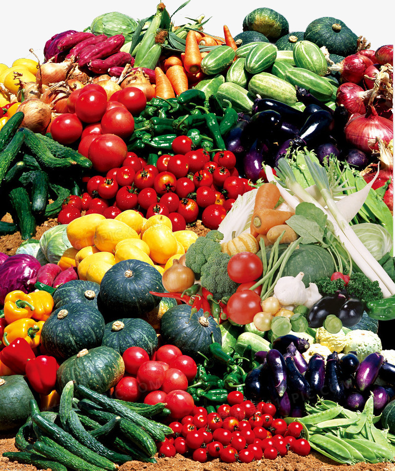 蔬菜食物矢量图 精品蔬菜蔬果