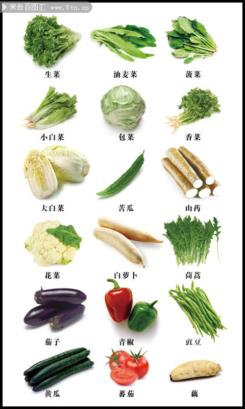 蔬菜认识表挂图下载