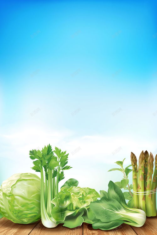 矢量质感绿色蔬菜绿色食品背景高清素材 网页 设计图片 免费下载 页面网页 平面电商 创意素材 青菜素材